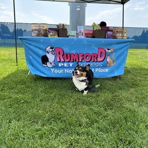 Team Page: Rumford Pet